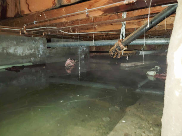 Best Flooded house restoration  in Roxborough Park, CO