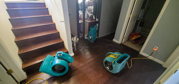 Best Water damage restoration company  in Roxborough Park, CO