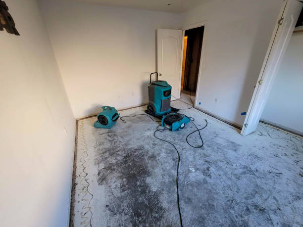 Best Carpet water damage restoration  in Roxborough Park, CO