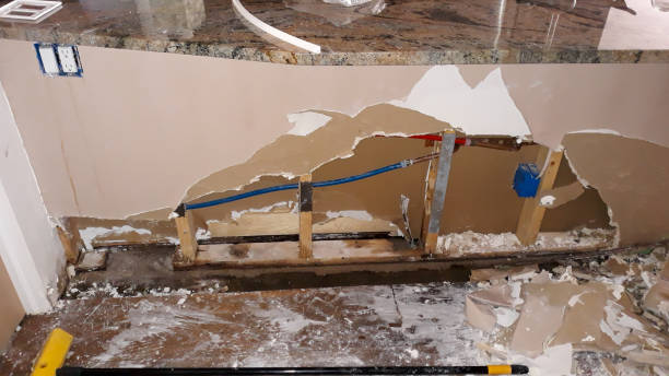  Roxborough Park, CO Water damage restoration Pros