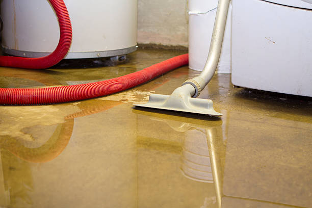 Best 24/7 water damage repair  in Roxborough Park, CO