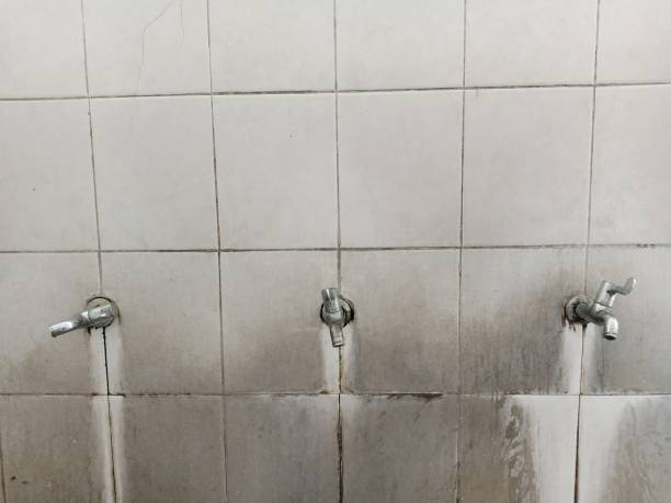 Best Water damage restoration specialists  in Roxborough Park, CO
