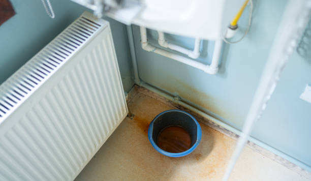 Best Emergency water damage restoration  in Roxborough Park, CO