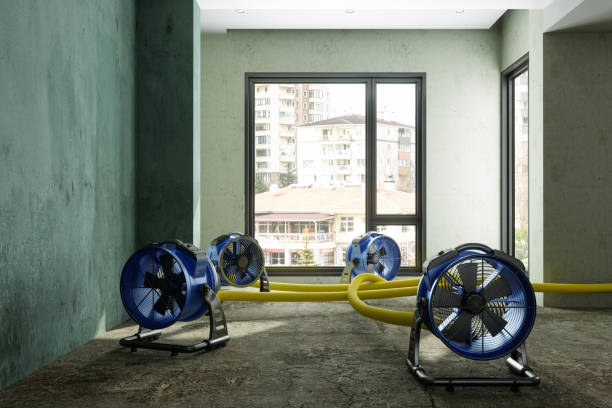 Best Commercial water damage restoration  in Roxborough Park, CO