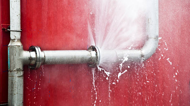 Best Water damage mitigation services  in Roxborough Park, CO