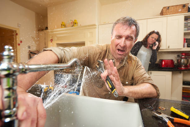 Best Flood restoration services  in Roxborough Park, CO